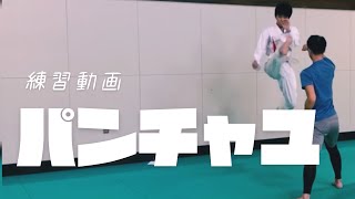 【約束組手】半自由組手(パンチャユ)