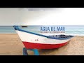 Luis Sanz - Agua de Mar Feat. Renesito Avich (Visualizer)