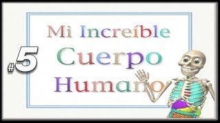 Mi Increíble Cuerpo Humano | En Español | #5 | JP \