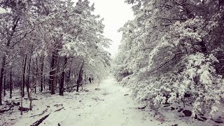 Fun Snow Day On The Farm | Winter Wonderland