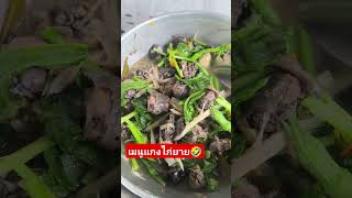 เมนูแกงไก่ #สาวลาว