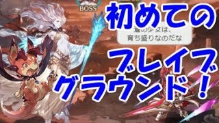 【グラブル】初めてのブレイブグラウンドを徹底解説