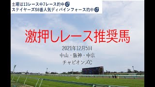 【競馬】チャンピオンズC予想　2021年12月5日推奨レース＆推奨馬