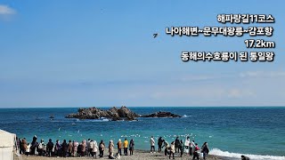 [해파랑길] 11코스 / 나아해변~문무대왕릉~감포항 / 삼국을 통일한 왕이 수호룡이 되어 지켜주는 동해바다