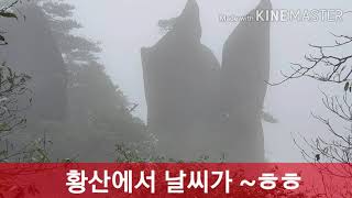 보은김수향 의 달달이 대추농원