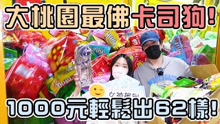 【1000元挑戰】1000元輕鬆出62樣！大桃園最佛卡司狗！老闆在教同學們要認真聽！|店裡有隻貓