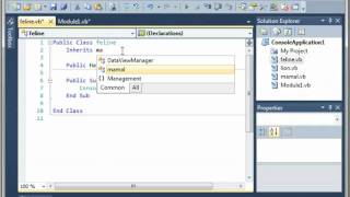Visual Basic 21 - Class Inheritance