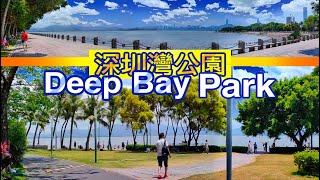 深圳最美滨海公園The most beautiful coastal park in Shenzhen了解更多请看上期视頻深圳灣公園More information in my last video