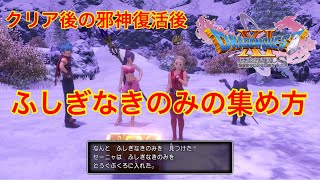 【ドラクエ11S】個人的ふしぎなきのみの集め方（クリア後の邪神復活後）