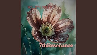 Wildflower Cover