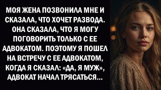 МОЯ ЖЕНА СКАЗАЛА МНЕ, ЧТО ХОЧЕТ РАЗВОДА, И ПОПРОСИЛА МЕНЯ ПОГОВОРИТЬ С ЕЕ АДВОКАТОМ, ЧТО Я И СДЕЛАЛ