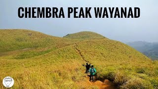 Chembra Peak Wayanad Kerala | Trekking in Chembra Peak | 4k Video