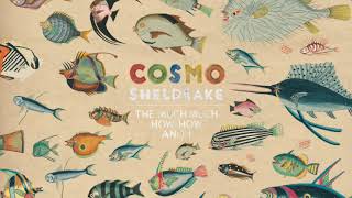 Cosmo Sheldrake - Mind of Rocks (ft. Bunty)