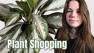 UK Houseplant Shopping And Indoor Plant Haul