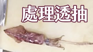 如何處理透抽？| How to deal with squid？| 海洋主廚愛爾文| 海鮮處理