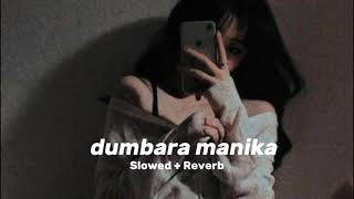 දුම්බර මැණිකා | dumbara manika (Slowed + Reverb)