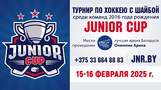 15.02.2025. JC. 2016. М12. Динамо-Джуниверс-2 - ProHockey