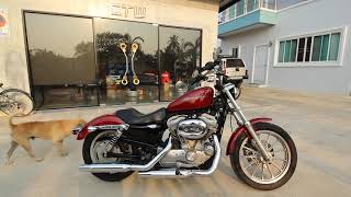 CTW Riders : Harley-Davidson Sportster 883 2006