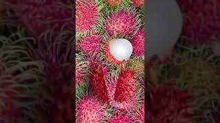 Yum Yummy Rambutan fruits #trending#shorts