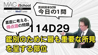 114D29 動画で学ぶ医師国試（MAC）鑑別のために最も重要な所見を呈する部位（今日の1問）