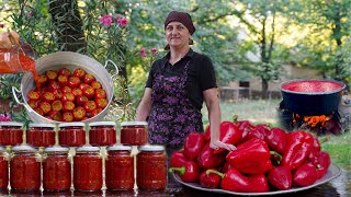 Harvest Fresh Tomatoes From Your Garden. How to make tomato paste for the winter?