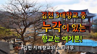 김천3대향교에 누각있는 건 여기뿐! [김천 지례향교와 느티나무] #지례향교 #향교느티나무 #문닫은문화유산 #지례면