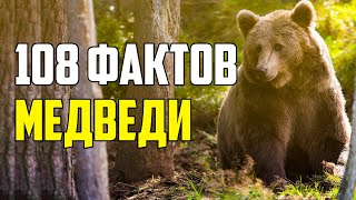 108 ИНТЕРЕСНЫХ ФАКТОВ О МЕДВЕДЯХ