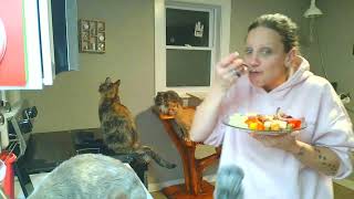 Dinner Date Night 2025 | Life With 18 Cats