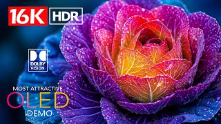 Most Attractive 16K HDR Video ULTRA HD 120 fps Dolby Vision (4K / 8K TV)