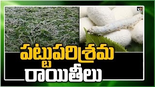 పట్టుపరిశ్రమ - రాయితీలు| Govt Subsidy And Loans For Silkworm Sericulture | Matti Manishi | 10TV News