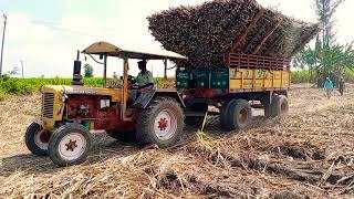 Hindustan hwd 50hp tractor sugarcane load pickup🚜💪💪🔥