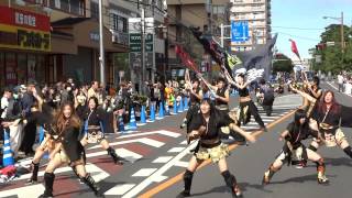 朝霞襲雷華撃団 「錦麒」／流し会場①／踊るん♪よさこい2014