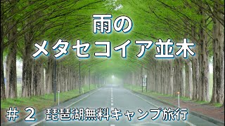 雨の日だからこその幻想的な景色。メタセコイア並木と余呉湖を走る《琵琶湖無料キャンプ旅行Part2》