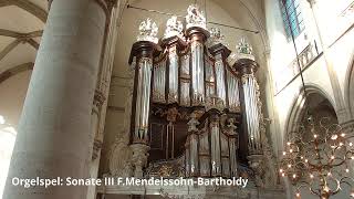 Grote Kerk Dordrecht  - zondag 2 februari 2025