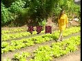 谢采妘 寻梦园 dvd版