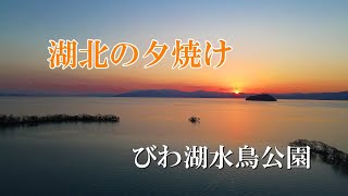 湖北の夕焼け　びわ湖水鳥公園