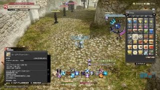 FF14 黒魔道士８０　ID　範囲焼き　スキル回し