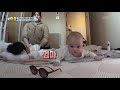 사유리네 승우보다 1개월 형아인 젠의 남다른 포스 슈퍼맨이 돌아왔다 the return of superman kbs 210516 방송