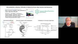 Mechanistic research in immunopsychiatry: state of the art and future goals