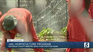 New greenhouse donated to Davidson County jail