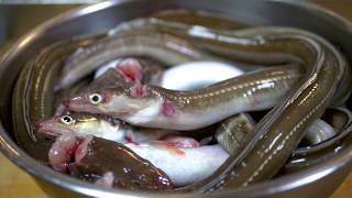 穴子を捌く～肝の処理と肝吸い 穴子の白焼きの作り方～How to fillet a conger and make clear soup of conger liver.