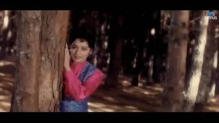 Dekha Hai Pahli Baar 4k Video  Saajan  Salman khan,Madhuri Dixit   Alka yagnik& S P Bala   Evergreen