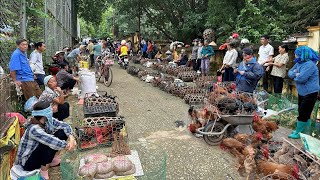 CHỢ ĐỒ RỪNG LỚN NHẤT LÀO CAI SAU CƠN BÃO ĐÌU HIU - DƯỢC LIỆU CHẤT NHƯ NÚI MÀ KHÔNG AI MUA
