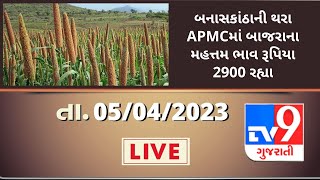 Mandi : બનાસકાંઠાની થરા APMCમાં બાજરાના મહત્તમ ભાવ રૂપિયા 2900 રહ્યા | Tv9News