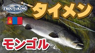 D6 モンゴル タイメン フィッシングツアー Taimen fishing in Mongolia