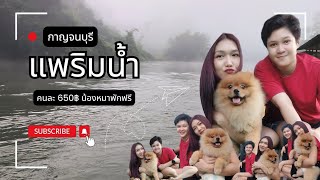 แพริมน้ำ กาญจนบุรี น้องหมาพักฟรีนะ