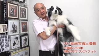 犬の撮影会　千葉の写真スタジオ　ペット専門　【No.009　】