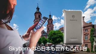 海外wifiレンタル料金０円！skyberryは国内も海外でも使えるのでおすすめです