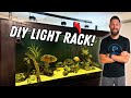 500 Gallon Plywood Aquarium | Cichlid Update, Maintenance & DIY Aquarium Lighting Rack