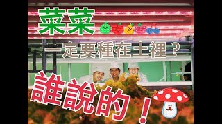 【首播】探索ing第三季 第7集 植物工廠